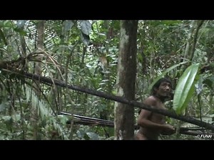 Uncontacted tribe threatened by loggers- BBC World Service