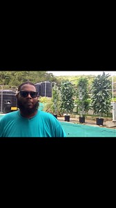 #farmers #food #future Ep 5, the last in the seris, features our #agriyouth. Darren of @nutriculturett is among the many youth in the field that have PROVEN themselves to be capable in managing the realities of food production.✨️ @Tech4Agri with the collaborative support of @ube.synergy brings to you our short series Farmers Food Future! Episodes air daily in between regular programming. So you have multiple times to watch! This series acts as a follow up to our original series Farmers Food Covi