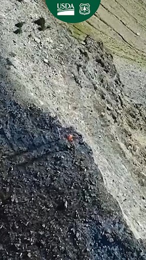 2.8K views · 37 reactions | Celebrate National Take a Hike Day by lacing up your boots and exploring your national forests and grasslands. (Forest Service Video) | U.S. Forest Service | Facebook