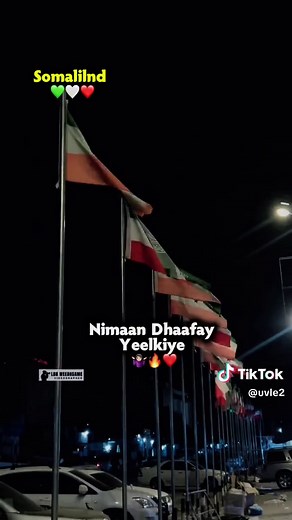 Mar Hadan Dhamow Caawa - Safwaan Maxamed (Heesta Lyrics & Slow Motion Clip)