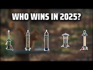 The Top 5 Best Squirrel Feeder in 2025 - Must Watch Before Buying!