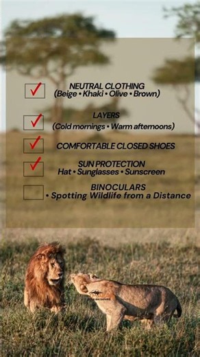 🎒 Safari Packing Guide | 6 Essentials You Can't Forget! 🦁