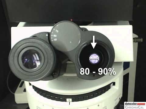 How to Use a Microscope for Color Brightfield Imaging