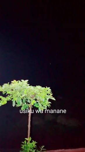 mr kogo small TikTok (@kogo4ii)’s videos with Usiku Wa Manane (Live) - AIC Chang'ombe Choir