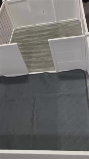 4 comments | #fypchallenge #shortsviral #trendingreelsvideo #familybusiness #KidsFun #funny #dogsoftiktok #puppytraining #dogsofinstagram | Kimberly Perez | Facebook