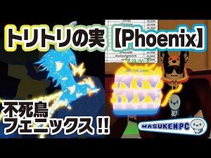 【ブロックスフルーツ】癒やし✨美しいトリトリの実 フェニックス（不死鳥）【Phoenix】技の紹介 🚩💫『blox fruits』ROBLOX #ロブロックスワンピース #ますけんPC