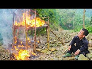 Dwarf Family Catches Turtles and Their Hut in the Forest Unexpectedly Burns Down | Survival Life
