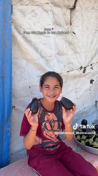 Another harvest from our little piece of land. 🍆🌱 Even in difficult times, we keep planting, growing, and holding on to hope. ❤️‍🩹 حصاد جديد من أرضنا الصغيرة. 🍆🌱 حتى في أصعب الأوقات، نستمر بالزراعة والحصاد والتمسّك بالأمل. ❤️‍🩹 #fyp #foryou #viral #gaza #food