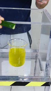 Instant Pickles: Vacuum Chamber Science Experiment