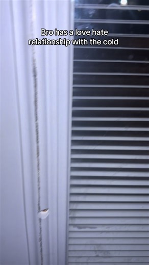 He’s only on the long line because it’s been too cold for him to stay out and sometimes he refuses to come in so this way it’s easier to get him inside #dogmomlife #petlover #dogsoftiktok #fyp