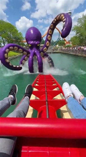 A breathtaking moment in front of a giant octopus! #funny #octopu #giant