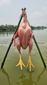 Unbelievable technique whole chicken for fishing #fish #fishing #reels #video | Discovery Site