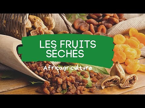 Starting a Dried Fruit Business from A to Z