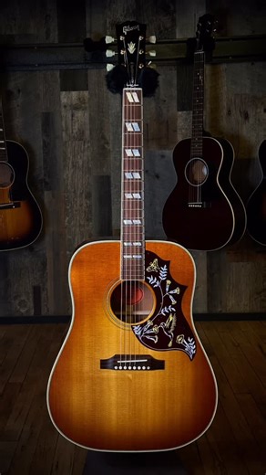 Music Villa | For the love of the birds! 🕊️ What’s your favorite Gibson bird model? #hummingbird #bluebird #dove #dovesinflight #murphylab | Instagram