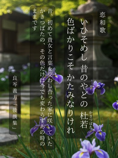 恋和歌 其の218 和歌の背景や補足をコメント欄に載せています🌸 #美しい日本語 #和歌 #恋 #杜若 #日本
