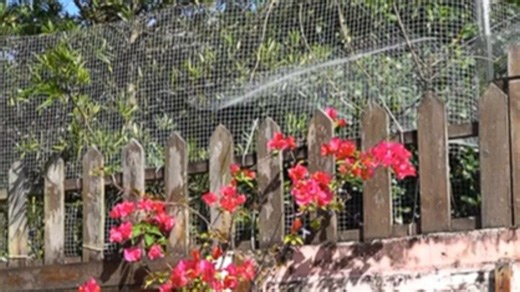 一套真正稳定清晰的摄像系统，实测效果出色，高清画质流畅不卡顿，轻松记录生活重要时刻。