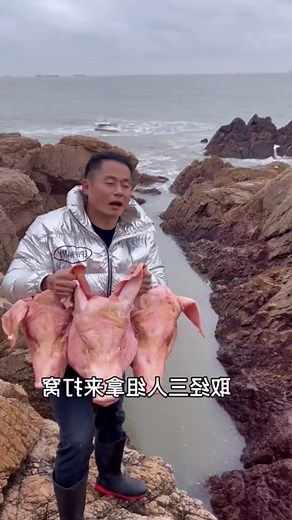 The three brothers made nests in a 100-meter-long pit and captured more than a dozen catties of devil fish with bare hands #catchfish #overseas #trend #beautifulwoman #catchingfish #funny #fyp #tiktok #fishing #foryoupage #offshorefishing #funnyvideo #fish