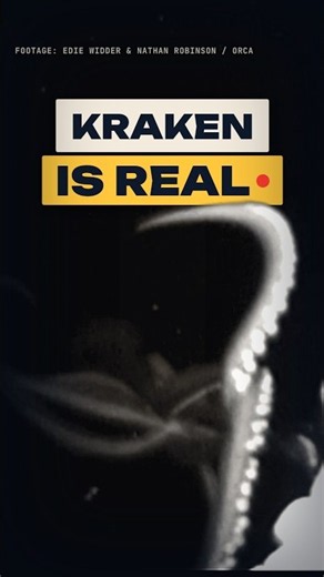 The Kraken is real 🦑 #geography #history #usa