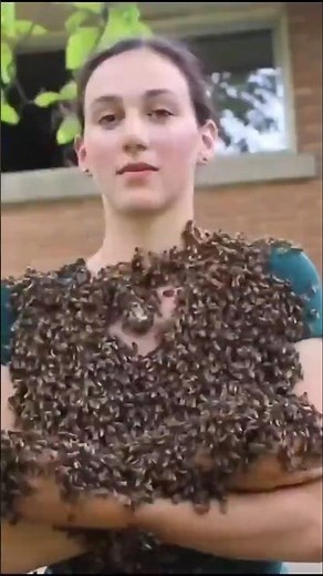 bee beard fail | bee bearding tips | bee beard experience | bee bearding 🥶 #wildlife