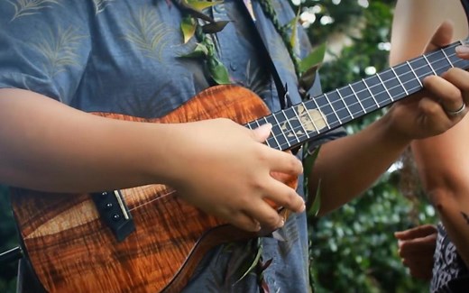 Aloha 'Oe (Hawaiian Guitar)