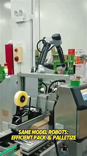 No Heavy Manual Packing! Collaborative Robot Pick & Place Case Packer for 5kg Nut Pouches