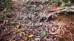 RIJADE & MICKAËL KHA - NOSY BE Écrit et composé par notre oncle ROGER KHA, mon cousin et moi reprenons aujourd'hui ce titre qui a bercé notre enfance 💖 Bonne écoute 🥰🏝🐬🌊🐚 YouTube: https://youtu.be/6n-_UovOX7M | Rijade