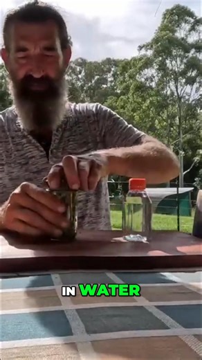 How to make a LEMON BALM tincture (for kids)! 💤 #gardening #permaculture #organic #growyourfood #nature | The Weedy Garden