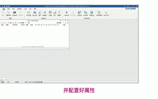 TSMaster小程序入门