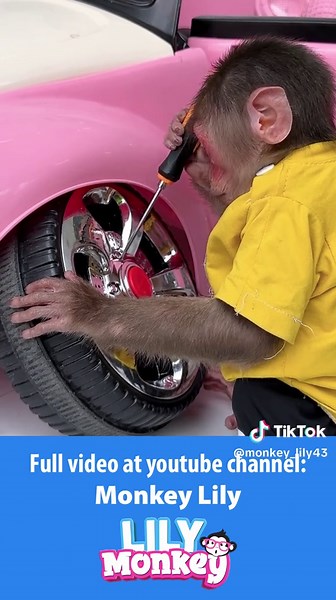 Lily and the Smart Monkey Fixing Cars