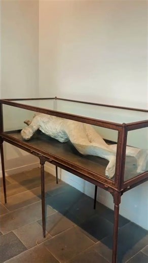 Journey back through time to the hauntingly preserved city of Pompeii. 🌋