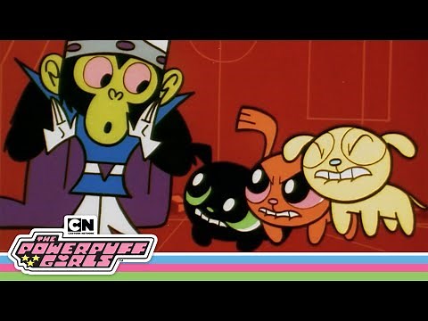 POWERPUPS UNLEASHED! 🐶🐾 | Powerpuff Girls | Cartoon Network