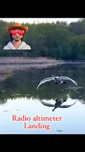 1.4M views · 28K reactions | Best Natural landing @topfans #Landing #aviationindustry #aviationlovers #pilates | Aviation-knowledge | Facebook