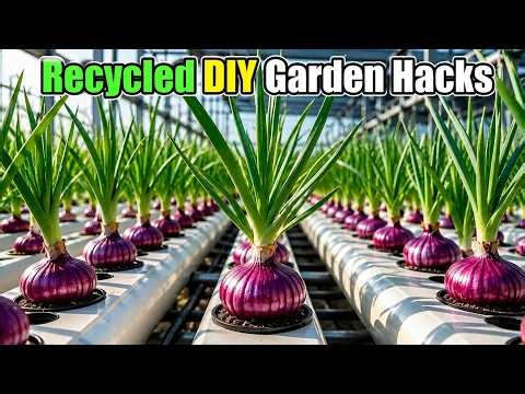 🔴LIVE - Ultimate Balcony Gardening Guide | Best Recycled DIY Garden Hacks for Beginners
