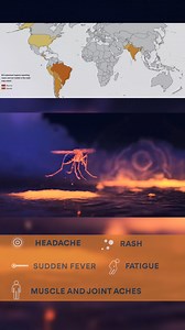 🦟 CHIKUNGUNYA IS SPREADING FAST 🚨 A painful virus carried by daytime-biting mosquitoes is now hitting hard across multiple regions. Most people have no idea it is even happening. On Réunion Island, nearly one-third of the population may already be infected. Mayotte and Mauritius are seeing similar outbreaks. The virus has now reached France, with local spread confirmed, and suspected cases appearing in Italy. This is chikungunya. It brings sudden high fever and intense joint pain that can last