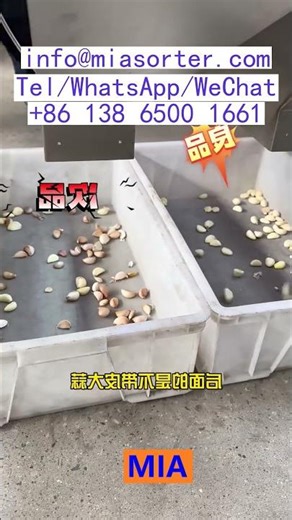 AI Control System CCD Sensor OEM Color Sorting Machine Manufacturer Advanced Technology USA Korea Tu