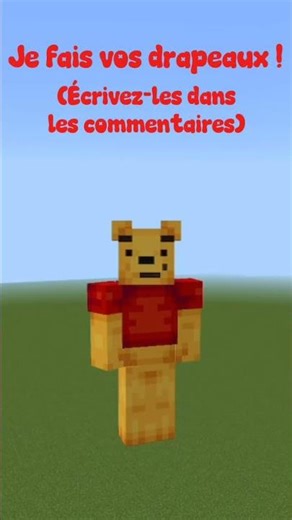 Je fais vos drapeaux ! #minecraft