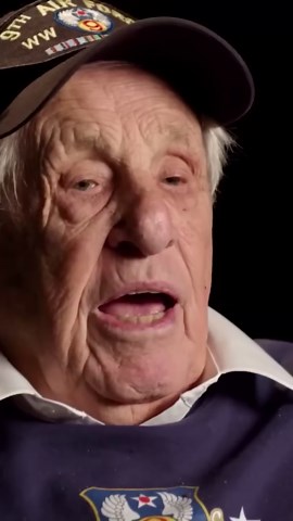 P-47 Pilot’s Brave Mission Against Tiger Tanks