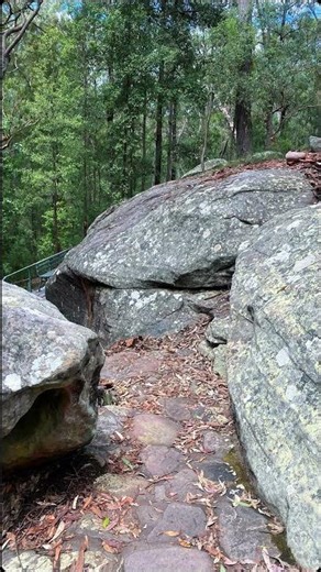 Red Hands Cave 🖐️ | Ancient Aboriginal Art | Blue Mountains