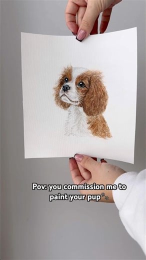 Dog portraits🐶🐾