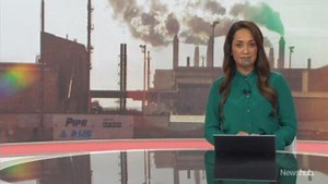 Watch: The Government is partnering with New Zealand Steel for what it says is the country's largest ever emissions reduction project.