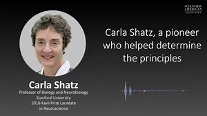 56K views · 837 reactions | Carla Shatz, leading neuroscientist and winner of the 2016 Kavli Prize for her work on neuroplasticity, explains the next frontiers in brain science | Scientific American | Facebook