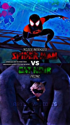 Spider-Man vs Cat Noir