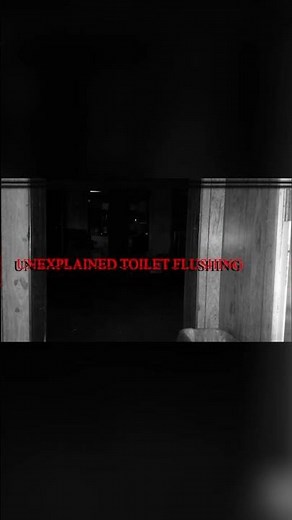 What Made the Toilet Flush By Itself?