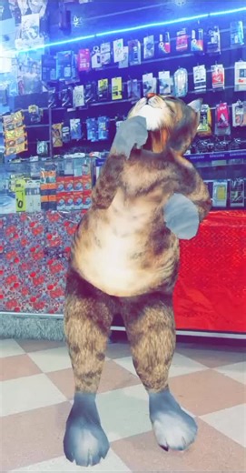 Cat Costume Dance Performance in Store