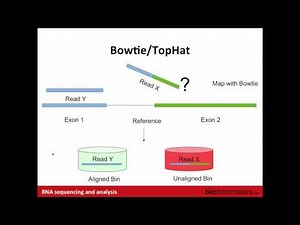 RNA-Seq Alignment and Visualization