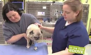 Sorry, we have encountered a problem. - Alexander Street, a ProQuest Company