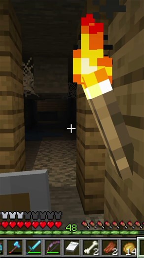 We found a mine shaft in Minecraft