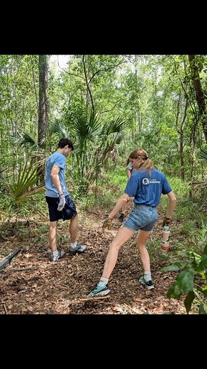 We were at #RiverviewPark on the Trout River today with @invitationhomes improving the park’s nature trail! We have partnered with @jaxparkscoj to become the Official Park Stewards for Riverview, and we’re committed to helping this beautiful park reach its full potential! You can join us for cleanups and service projects here on the first Sunday of each month this summer from 8:30-11am. | St. Johns Riverkeeper