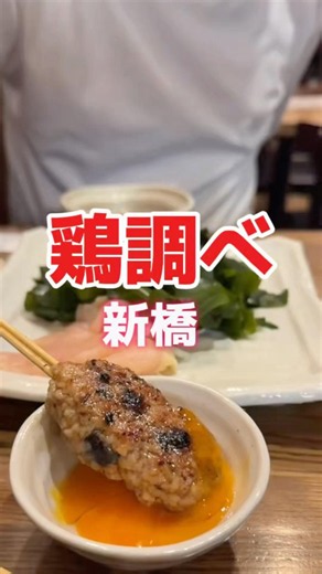★飲める極上白レバー「鶏調べ」新橋 焼鳥 居酒屋★