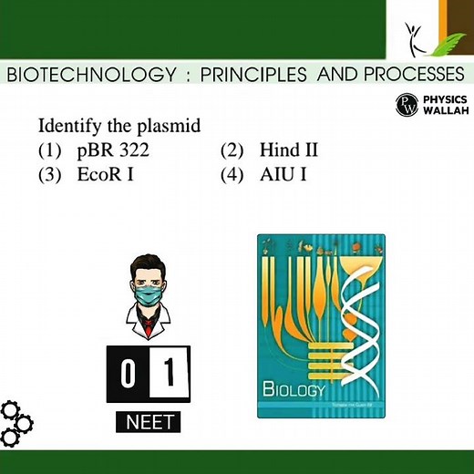 Biotechnology principles and processes class 12 #neet #neet2024